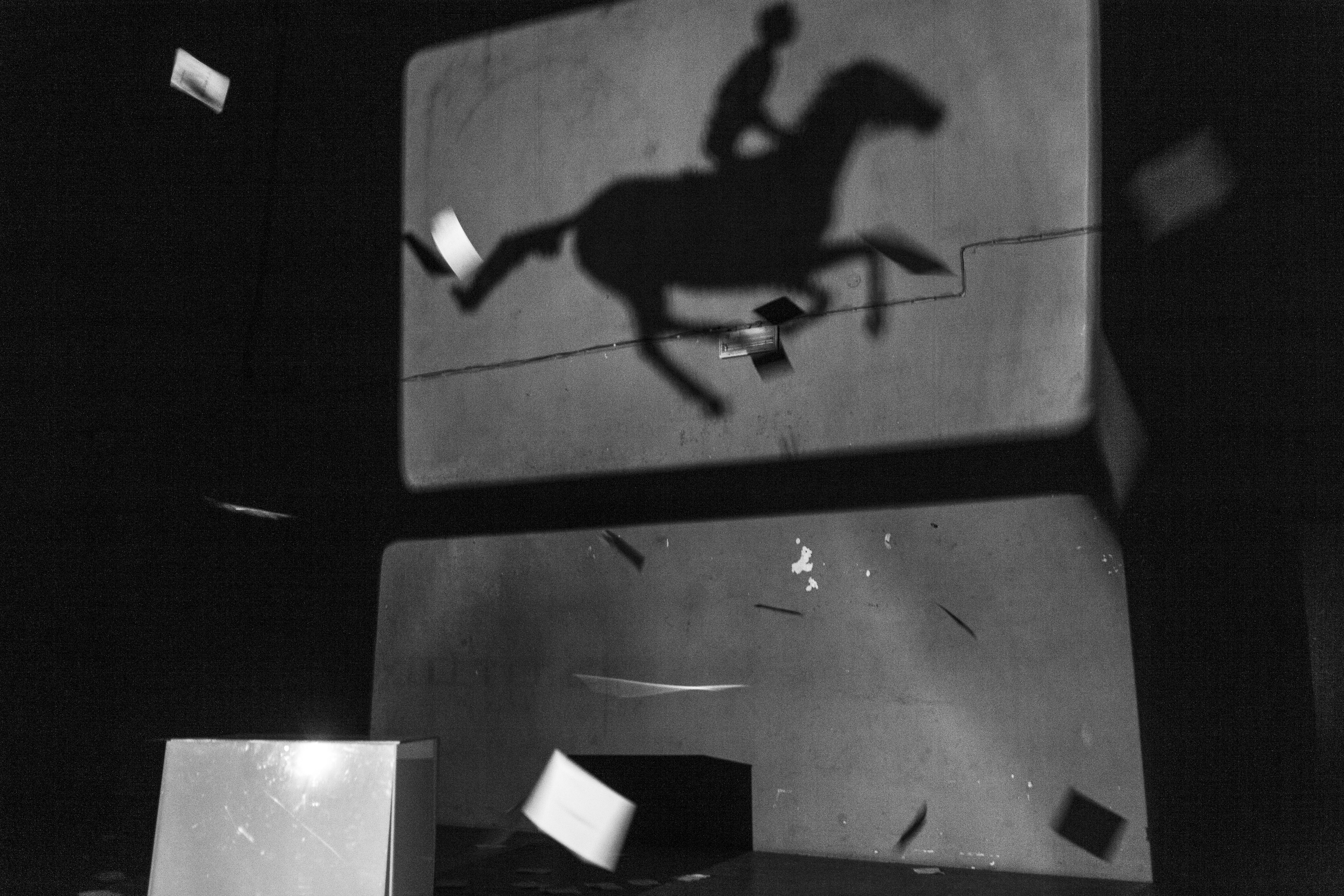 Schattenprojektion eines galoppierenden Pferdes mit Reiter*in.